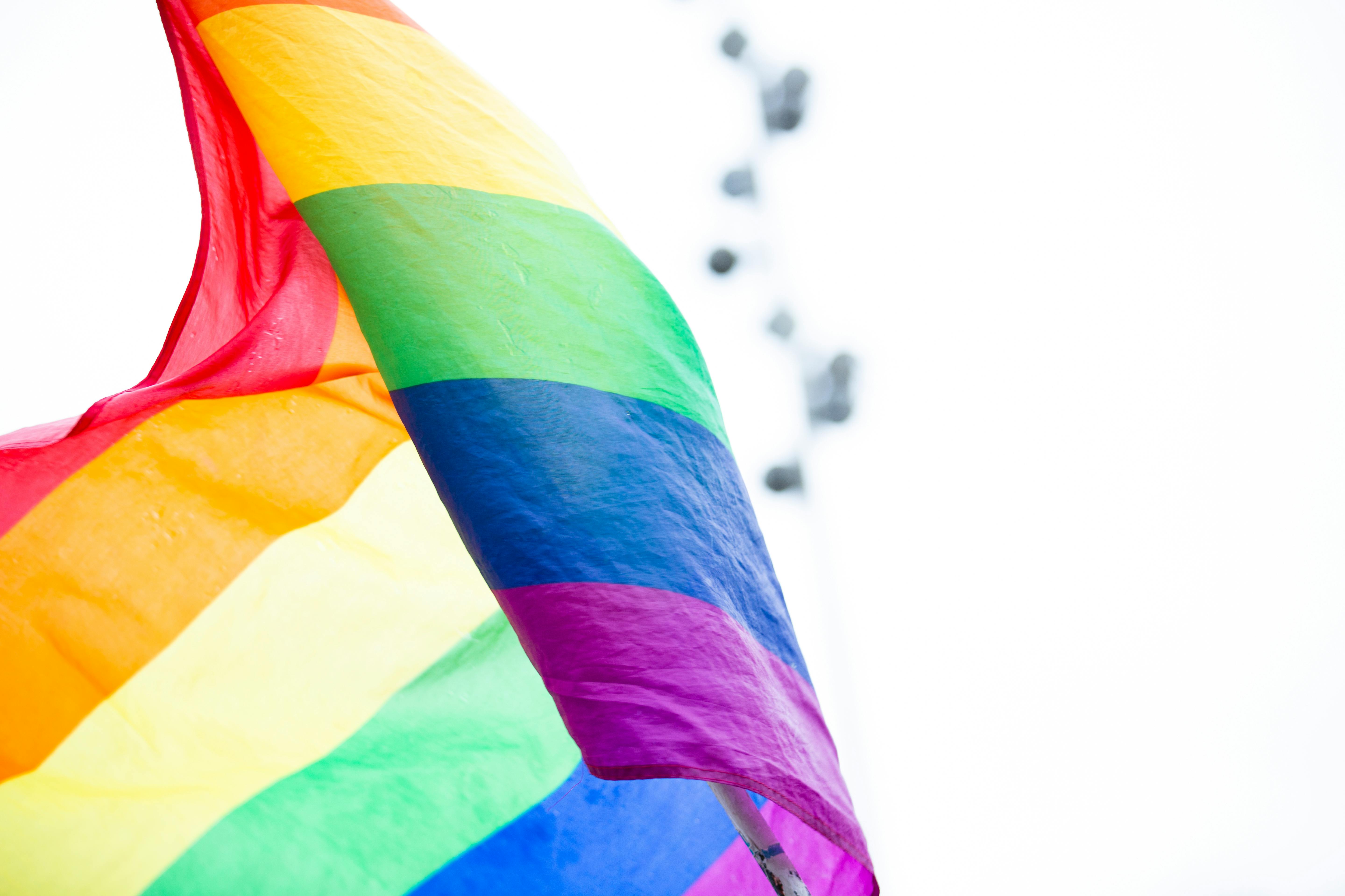 Rainbow/LGBTQ Flag